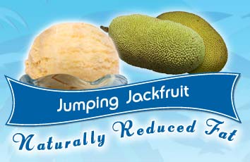 Jumping Jackfruit Ice Cream