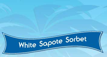 White Sapote Sorbet